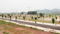 Bắc Giang: Duyệt quy hoạch khu đô thị Dĩnh Trì - Tân Dĩnh