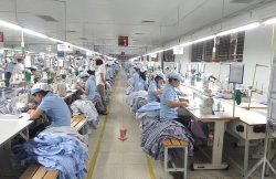 Bắc Giang: Công ty TNHH Thống Nhất nợ hơn 3 tỷ tiền thuế