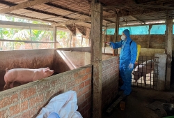 bac giang cap gan 3000 lit hoa chat de khu trung tieu doc