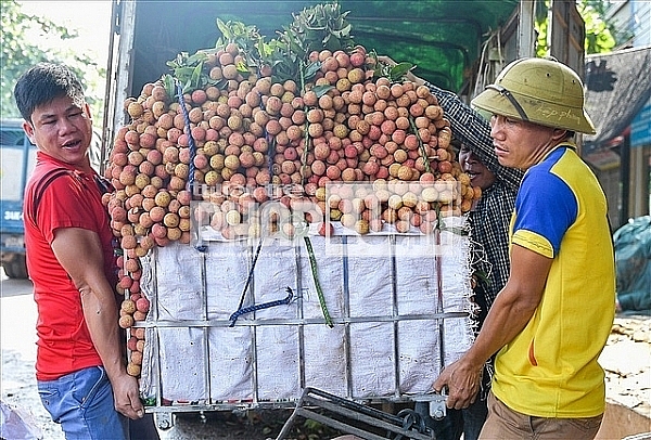 bac giang chuan bi hang loat phuong an ho tro nong dan dai thang vu vai thieu nam 2020