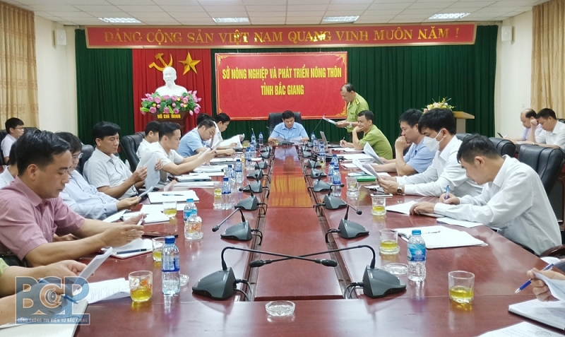 Ngăn chặn tình trạng phá rừng tại Bắc Giang