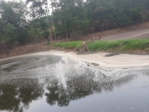 Nhà đầu tư Trung Quốc chuẩn bị xây nhà máy xử lý rác tại TP Bắc Giang