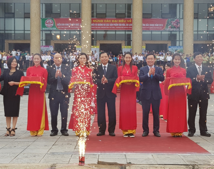Hơn 500 doanh nghiệp tham gia diễn đàn tiêu thụ vải thiều 2019 