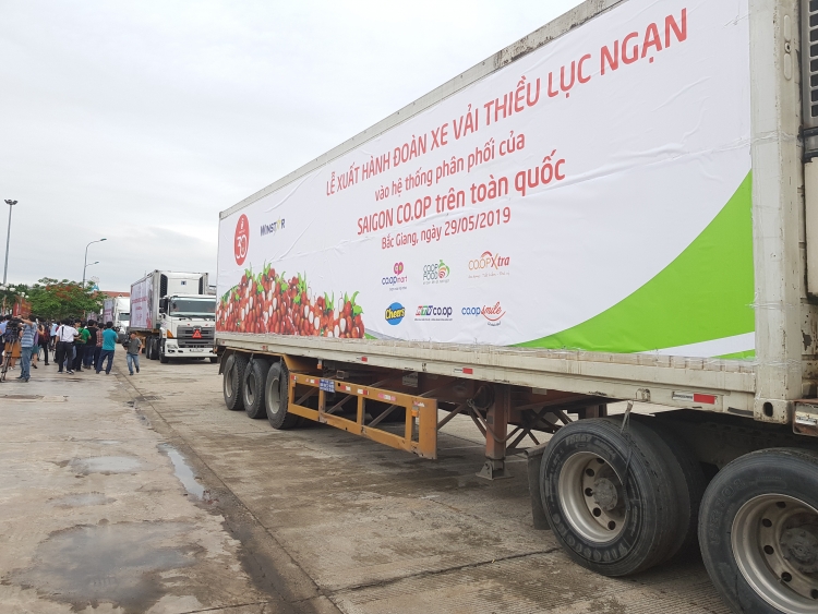 Central Group cam kết sẽ tiêu thụ 350 tấn vải thiều Bắc Giang