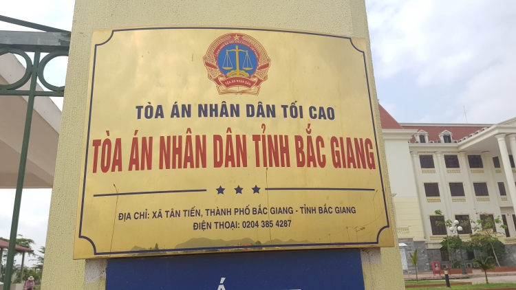 TAND tỉnh Bắc Giang y án sơ thẩm vụ người dân hủy hoại đất nông nghiệp rồi... đòi Chủ tịch xã bồi thường