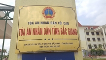 TAND tỉnh Bắc Giang y án sơ thẩm vụ người dân hủy hoại đất nông nghiệp rồi... đòi Chủ tịch xã bồi thường