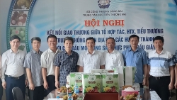Bắc Giang: Huyện Lục Ngạn xúc tiến tiêu thụ vải thiều ở các tỉnh phía Nam