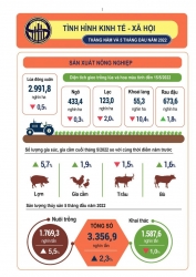 infographic toan canh kinh te xa hoi 5 thang dau nam 2022 cua viet nam