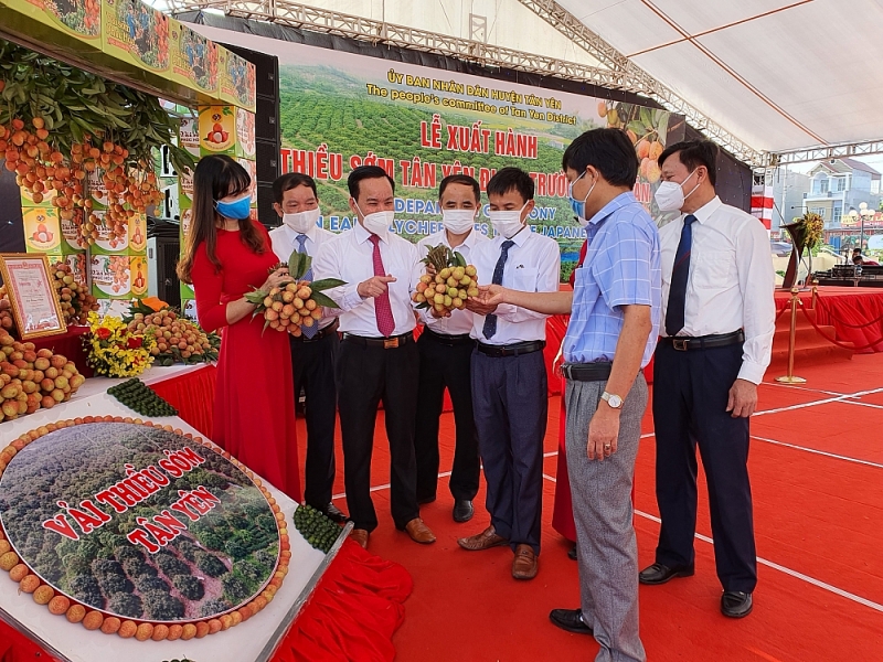 Năm 2023, sản lượng vải thiều của tỉnh Bắc Giang ước đạt hơn 180.000 tấn