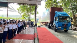 Bắc Giang: Huyện Tân Yên xúc tiến tiêu thụ vải thiều chín sớm