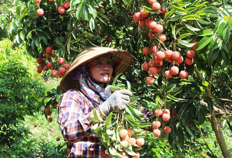 Bắc Giang: Đẩy mạnh phát triển thị xã Chũ toàn diện về mọi mặt
