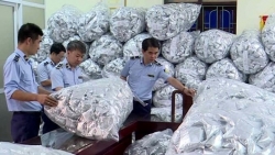 Bắc Ninh: Thu giữ 40.000 gói rong biển không rõ nguồn gốc