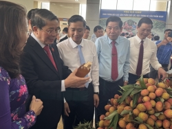 pho chu tich quoc hoi nguyen duc hai du hoi nghi xuc tien tieu thu vai thieu bac giang