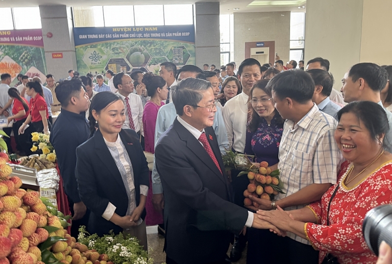 Phó Chủ tịch Quốc hội Nguyễn Đức Hải dự Hội nghị xúc tiến tiêu thụ vải thiều Bắc Giang