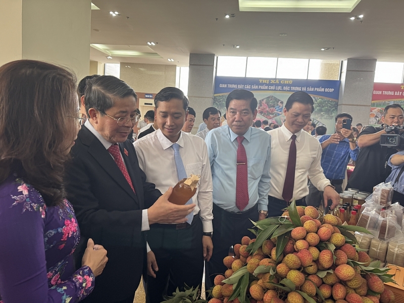 Phó Chủ tịch Quốc hội Nguyễn Đức Hải dự Hội nghị xúc tiến tiêu thụ vải thiều Bắc Giang
