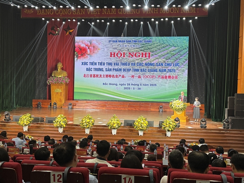 Khẳng định vị thế hàng đầu của vải thiều Bắc Giang trên bản đồ trái cây Việt Nam