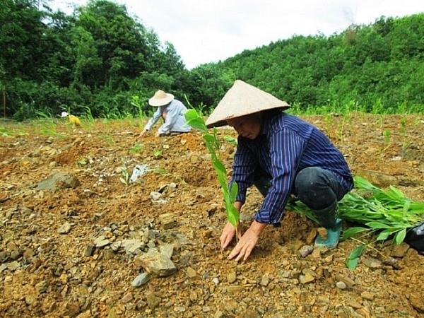 ho tro luong thuc cho dong bao thieu so khi trong rung tai bac giang