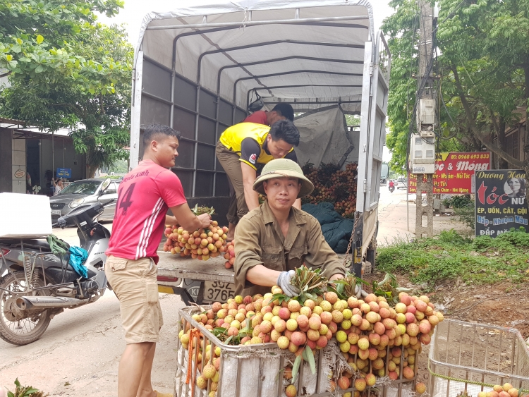 bac giang pha ky luc doanh thu tu vu vai thieu nam 2019