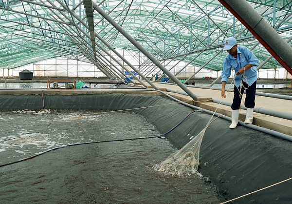 xay dung va quang ba thuong hieu tom viet nam tai quang ninh