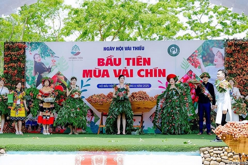 Giá vải thiều Bắc Giang dao động từ 15-25 nghìn/kg