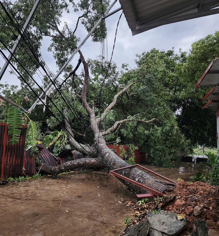 Bắc Ninh: Các phường, xã chủ động phương án để ứng phó cơn bão số 3