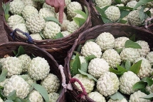 Giữ vững thương hiệu Na Chi Lăng - Lạng Sơn