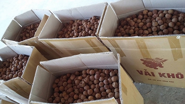 bac giang ho tro dau tu co so bao quan va che bien nong san