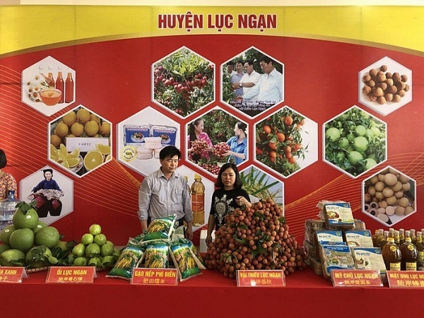 Bắc Giang chi gần 11,6 tỷ đồng hỗ trợ phát triển thương hiệu nông sản bac giang chi gan 116 ty dong ho tro phat trien thuong hieu nong san