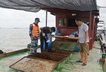 Chặn bắt 35.000 lít dầu lậu trên vùng biển Quảng Ninh và Hải Phòng