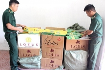 chan bat hang chuc nghin bao thuoc la nhap lau tai cua khau mong cai