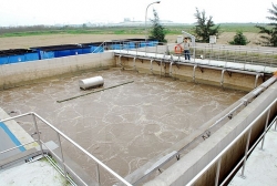 nhung su kien tuan qua ve linh vuc bao ve moi truong