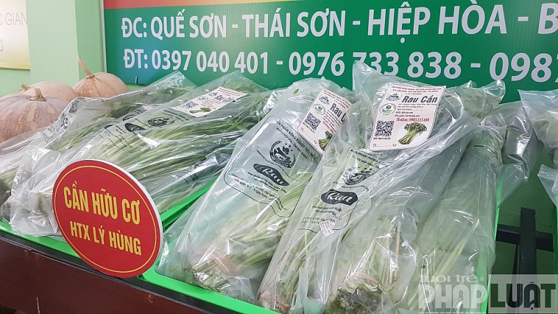 Truy xuất nguồn gốc nông sản 