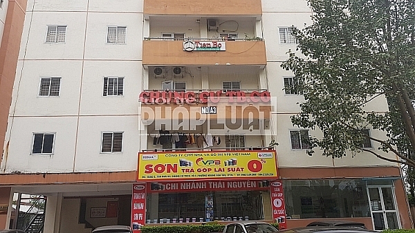 Tập đoàn Tiến Bộ nợ 