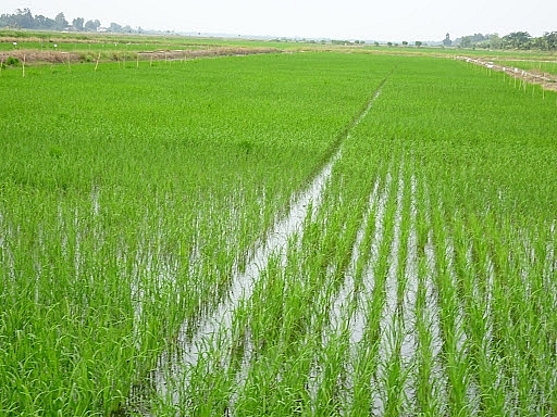 Thái Nguyên thu hồi hàng nghìn héc ta đất để “phục vụ” loạt dự án khủng Thái Nguyên thu hồi hàng nghìn héc ta đất để “phục vụ” loạt dự án khủng