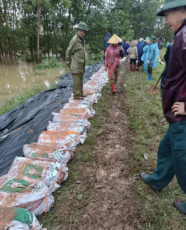 Bắc Giang thiệt hại gần 19 nghìn ha lúa do bão số 3