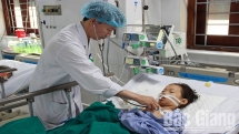 Bé 7 tuổi ở Bắc Giang ngộ độc do ăn phải miếng bánh mì tẩm thuốc chuột