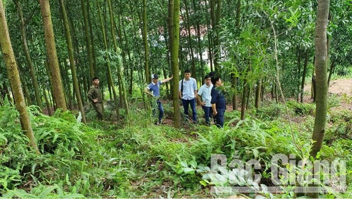 Phát hiện Phó Chủ tịch xã tử vong trên đỉnh núi