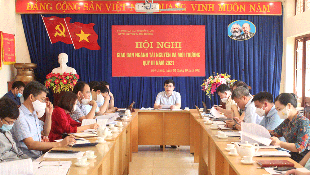 Bắc Giang: Hơn 73 nghìn trường hợp vi phạm về quản lý và sử dụng đất