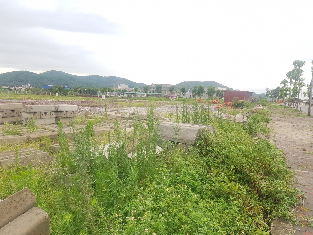 Bắc Giang yêu cầu xử lý nghiêm các dự án không đưa đất vào sử dụng