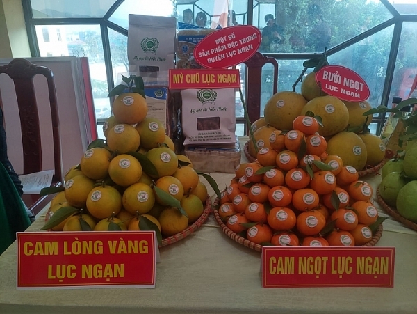 bac giang day manh phat trien san pham chu luc va san pham dac san dia phuong