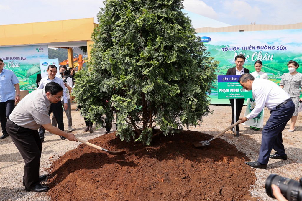Thủ tướng Chính phủ và các đại biểu trồng cây lưu niệm tại dự án