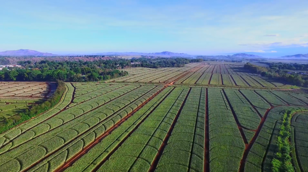 Công bố đối tác liên doanh tại Philippines, Vinamilk dự kiến đưa sản phẩm ra thị trường vào tháng 9/2021