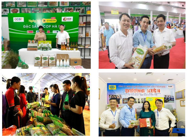 Trung tâm OCOP và bài toán “kể câu chuyện sản phẩm” trong kỷ nguyên số