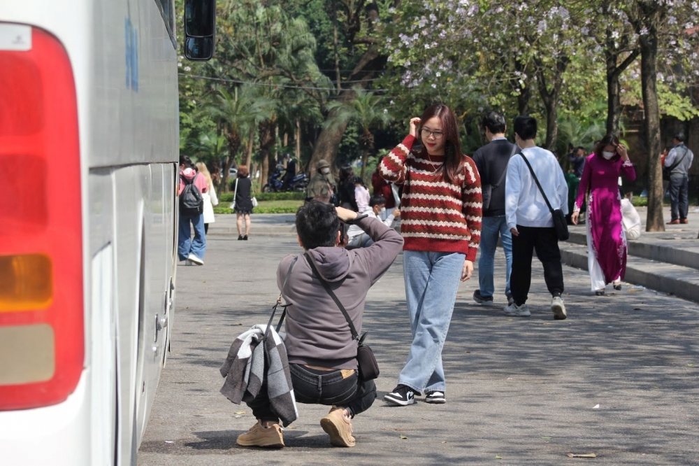 Hoa ban nở rộ trên phố, giới trẻ hào hứng rủ nhau chụp ảnh