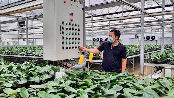 Anh Nguyễn Tiến Dũng với mô hình trồng hoa lan công nghệ cao