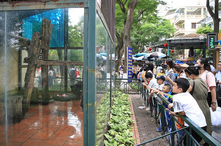 rất đông người dân đổ về Vườn thú Hà Nội (quận Ba Đình) để tham quan.