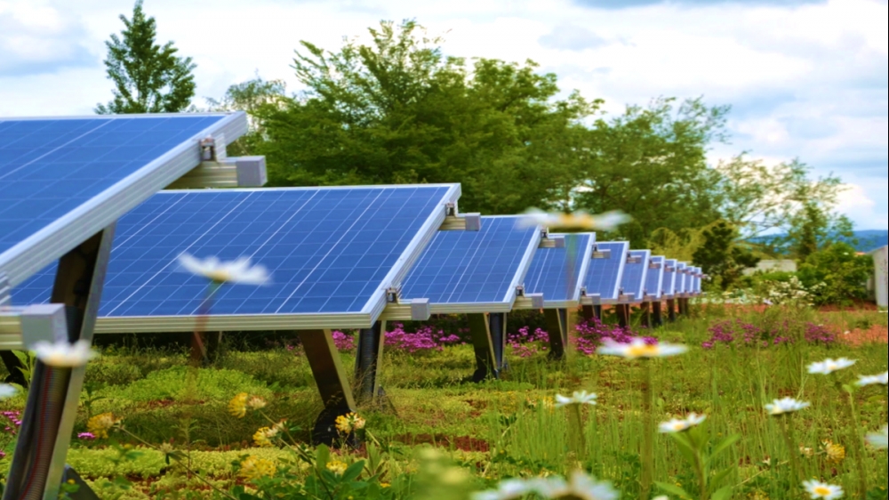 Nhiều giải pháp đối phó với nắng nóng