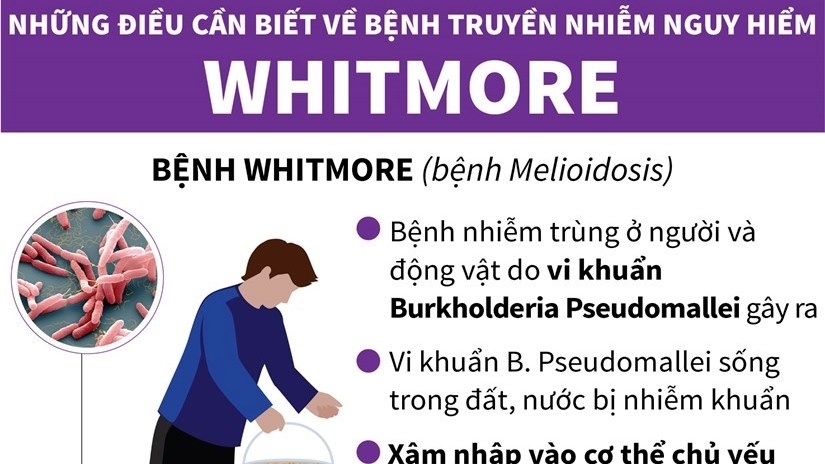 Khuyến cáo cộng đồng phòng chống bệnh Whitmore