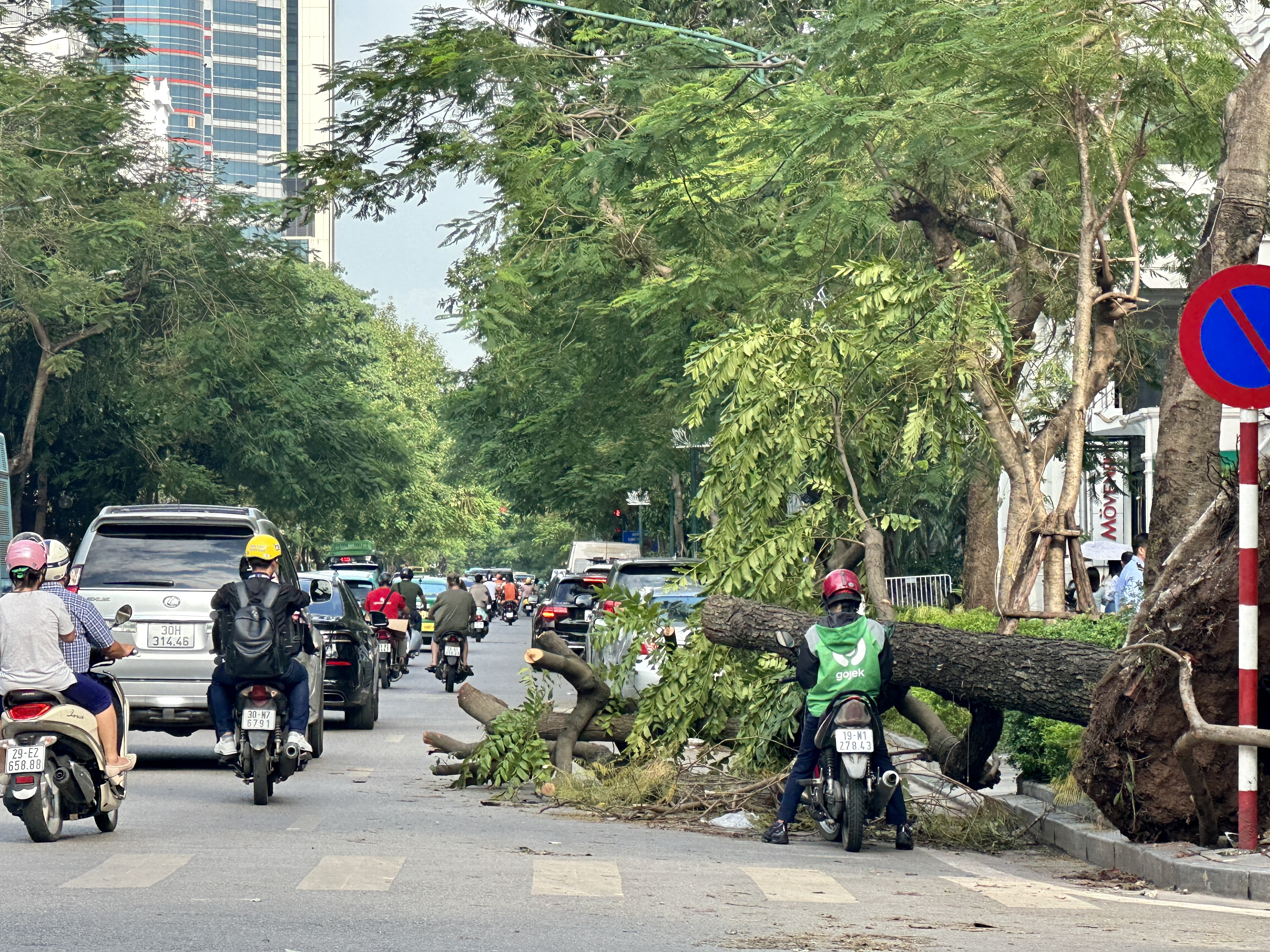 Hà Nội: Lực lượng chức năng tất bật thu dọn cây đổ gãy do bão số 3