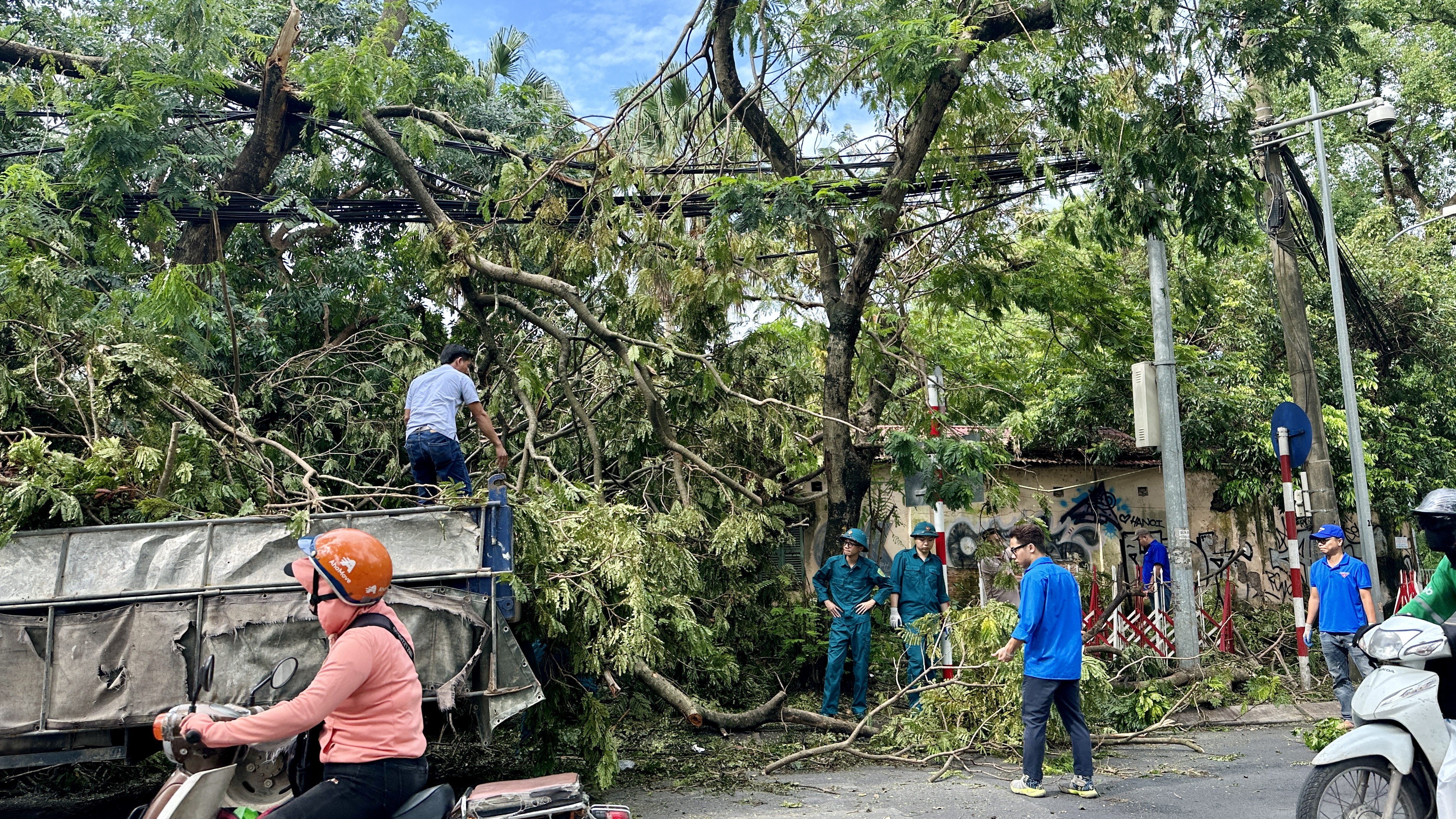 Hà Nội: Lực lượng chức năng tất bật thu dọn cây đổ gãy do bão số 3